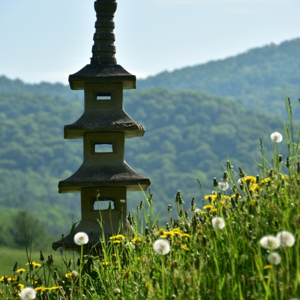 IMG_20170819_150404_076